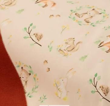 Preview: Softshellweste_Viento_Baby